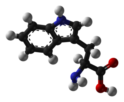 L-Tryptophan