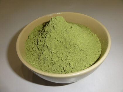 Camellia Sinensis (Matcha Tea) Organic Stone Ground Matcha Tea Powder