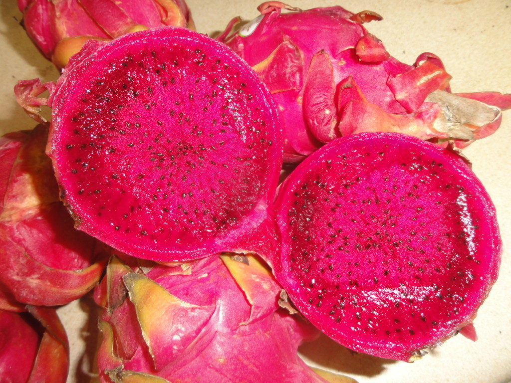 Red Dragon Fruit seeds | World Seed Supply