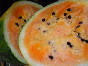 Citrullus Lanatus (Orange Watermelon) Seeds