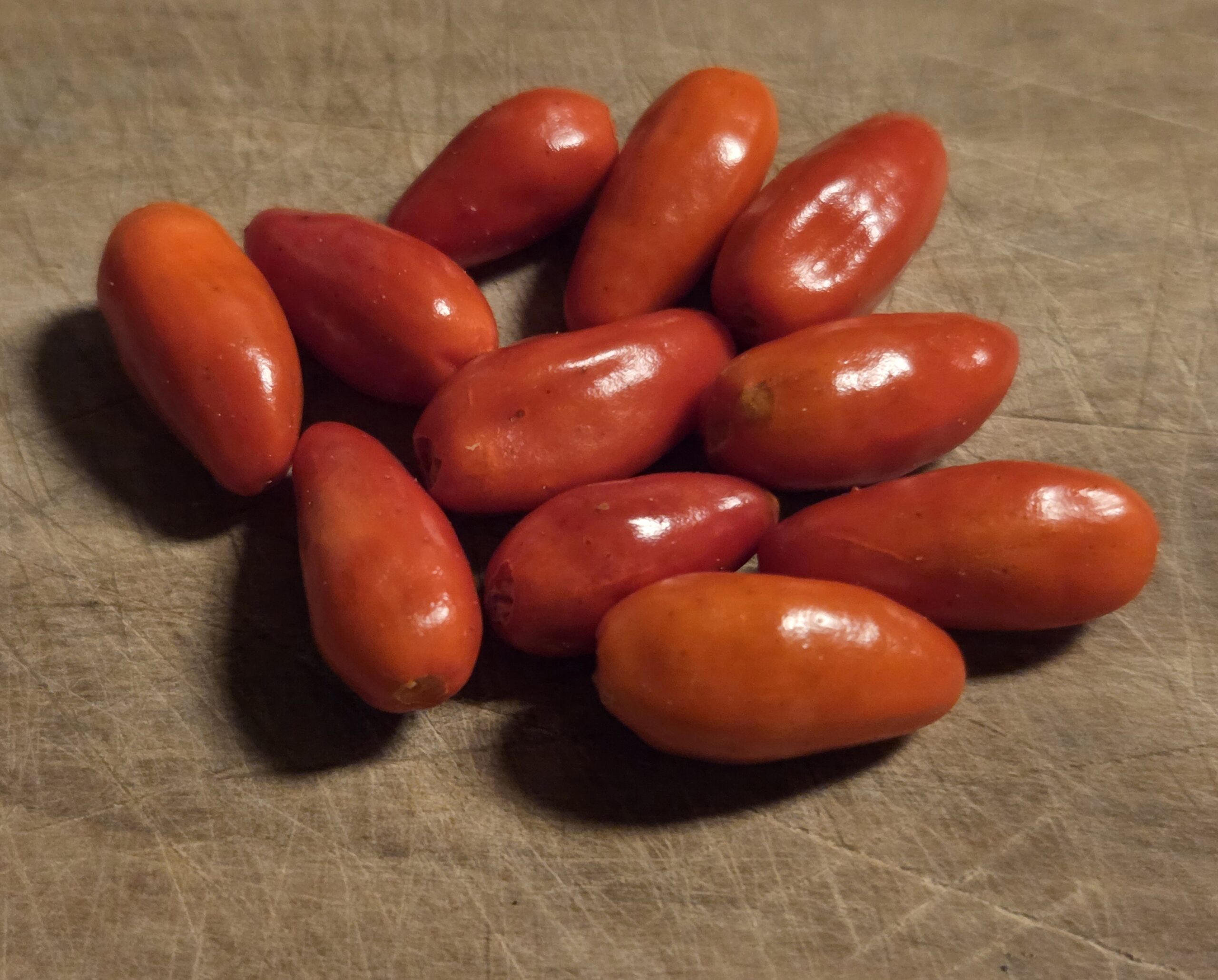 Capsicum Annuum var, Glabrisculum (Desert Tepin Pepper) Seeds