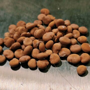 Mandragora Officinarum (European Mandrake) Seeds