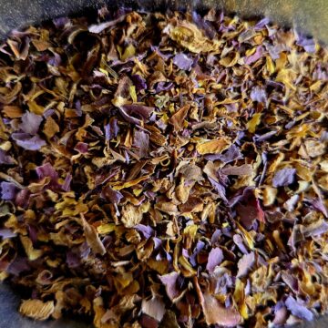 Nymphaea Caerulea (Blue Lotus) Organic Tea Cut Flowers WHOLESALE